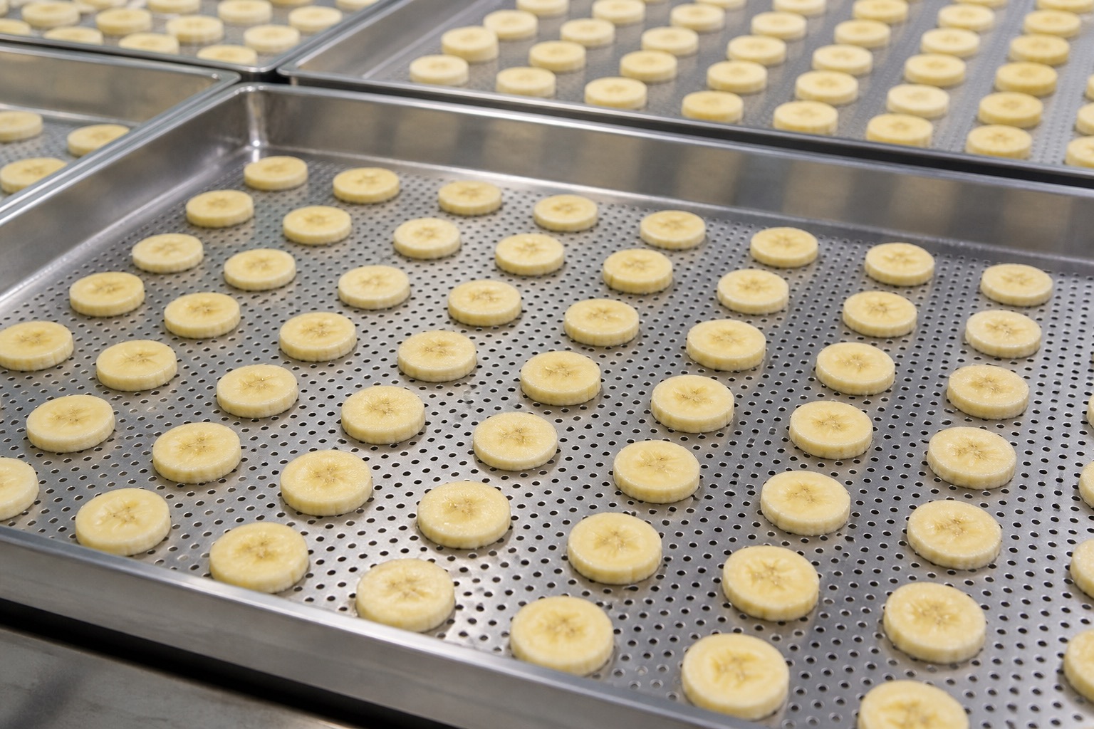 Banana slices arranged on trays for industrial heat pump drying
