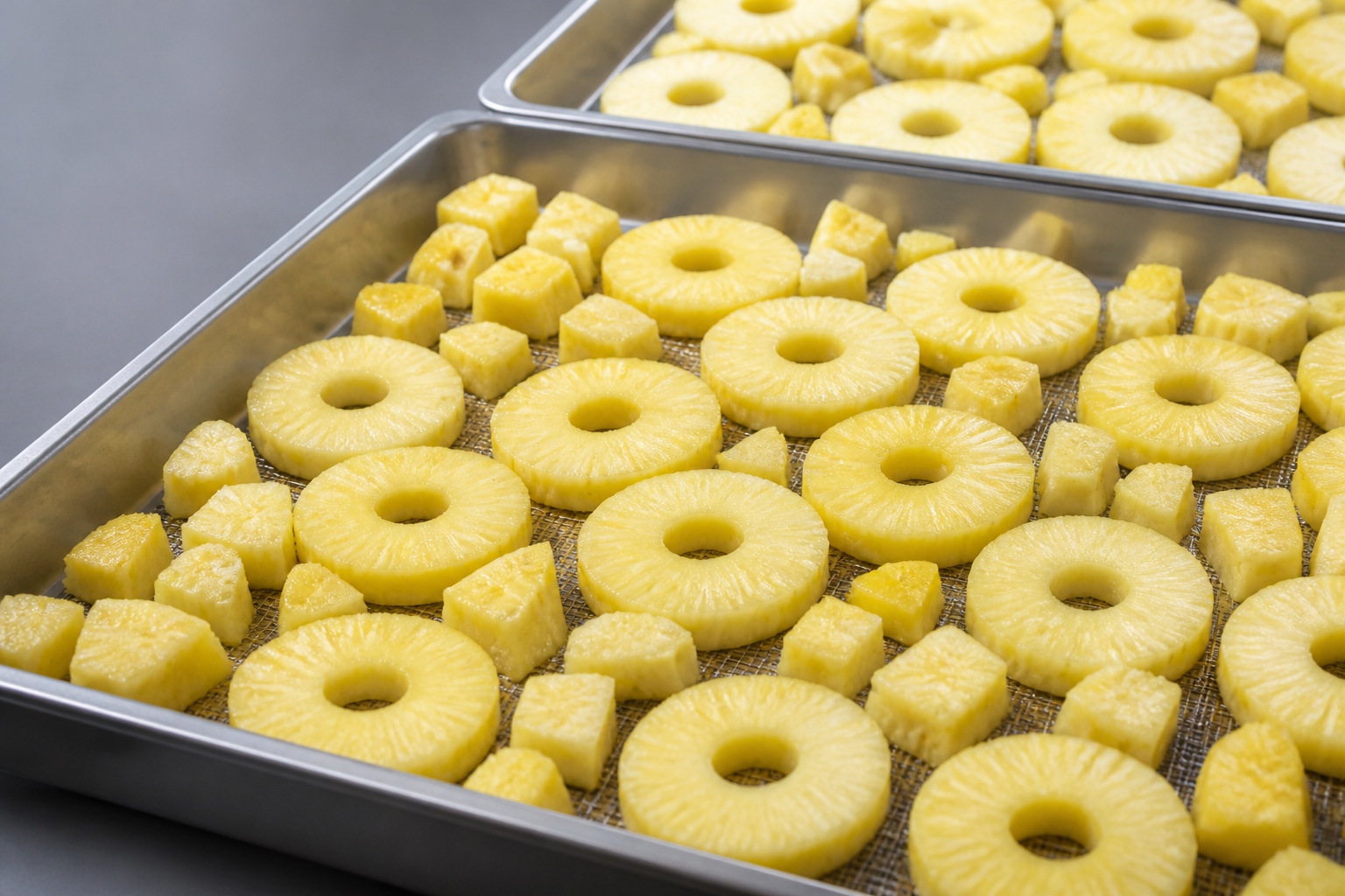 Pineapple pieces arranged on trays for industrial heat pump drying