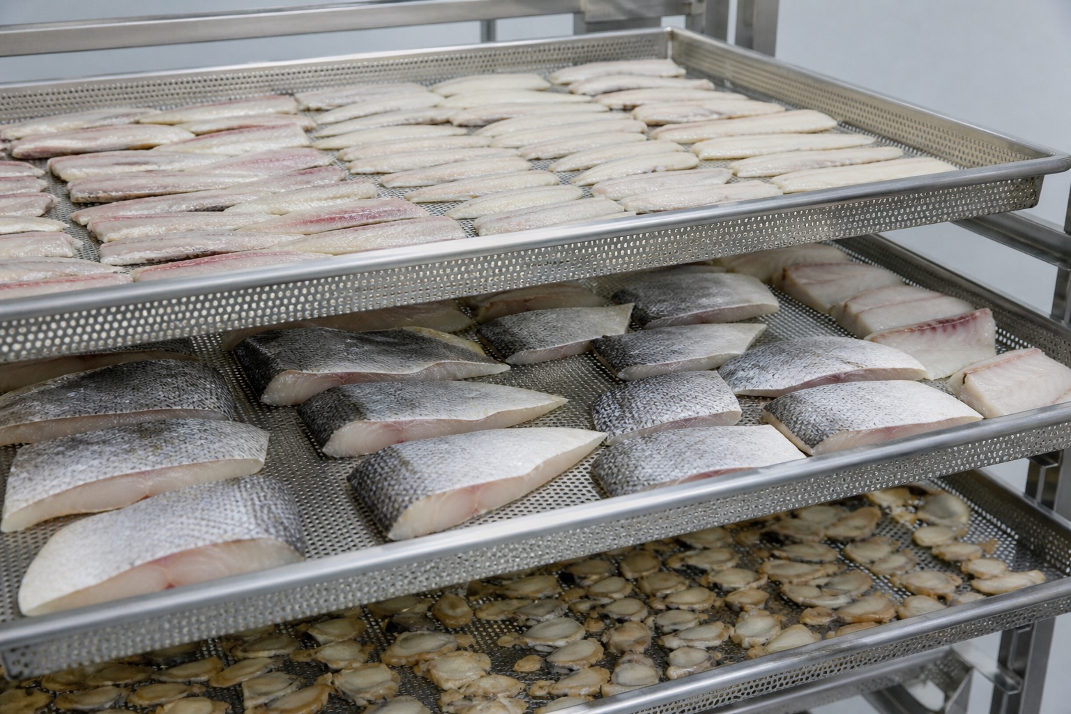 Prepared aquatic products arranged on trays for industrial drying