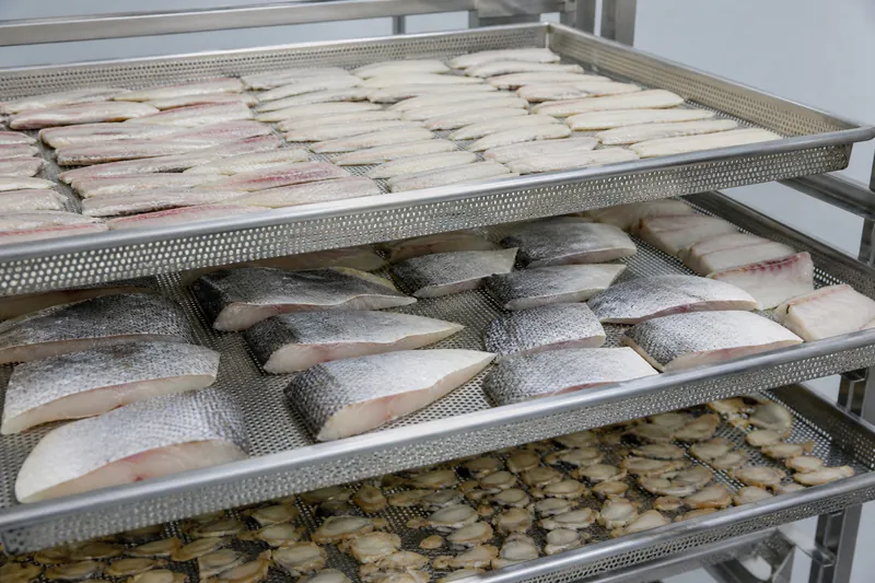 Prepared aquatic products arranged on trays for industrial drying